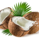 uleiul de cocos